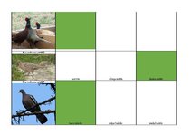 Konspekts 'Mednieku eksāmena biļetes ar pareizām atbildēm', 56.