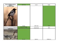 Konspekts 'Mednieku eksāmena biļetes ar pareizām atbildēm', 59.