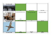 Konspekts 'Mednieku eksāmena biļetes ar pareizām atbildēm', 62.