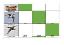 Konspekts 'Mednieku eksāmena biļetes ar pareizām atbildēm', 65.