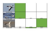 Konspekts 'Mednieku eksāmena biļetes ar pareizām atbildēm', 69.