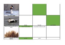 Konspekts 'Mednieku eksāmena biļetes ar pareizām atbildēm', 70.