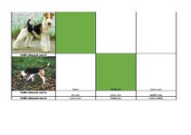 Konspekts 'Mednieku eksāmena biļetes ar pareizām atbildēm', 122.