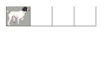 Konspekts 'Mednieku eksāmena biļetes ar pareizām atbildēm', 123.