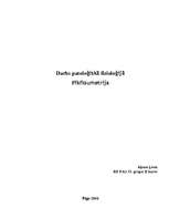 Referāts 'Pīkfloumetrija', 1.