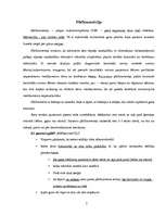 Referāts 'Pīkfloumetrija', 2.