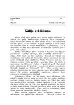 Referāts 'Kālijs', 4.