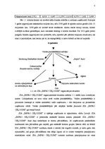 Diplomdarbs 'SIA "Impro ceļojumi" gada pārskata analīze un novērtēšana', 8.