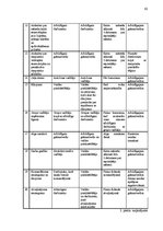 Diplomdarbs 'SIA "Impro ceļojumi" gada pārskata analīze un novērtēšana', 62.