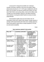 Referāts 'Maizes iepakošana', 7.