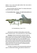 Referāts 'Maizes iepakošana', 14.