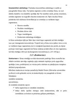 Referāts 'Jauna veikala atvēršana', 14.