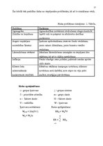 Referāts 'Jauna veikala atvēršana', 17.