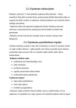 Referāts 'Jauna veikala atvēršana', 19.