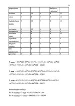 Referāts 'Jauna veikala atvēršana', 23.