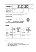 Konspekts 'Veikala vides pārskats', 6.