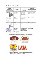 Konspekts 'Veikala vides pārskats', 8.