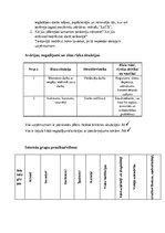Konspekts 'Veikala vides pārskats', 10.