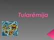 Prezentācija 'Tularēmija', 1.