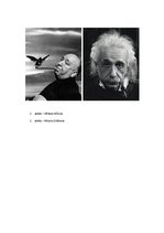 Prezentācija 'Fotogrāfs Filips Halsmans', 4.