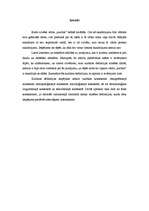 Referāts 'Kultūras definīcijas', 2.