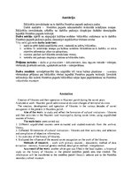 Paraugs 'Zinātniski pētnieciskais darbs par bibliotēkām un to darbību padomju gados', 2.