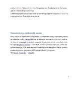 Konspekts 'Ērces un to pārnēsātās slimības', 5.