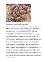 Konspekts 'Ērces un to pārnēsātās slimības', 6.