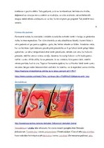 Konspekts 'Ērces un to pārnēsātās slimības', 11.