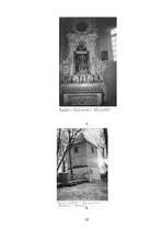 Referāts 'Šadursku dzimta', 20.