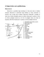 Referāts 'Mācību prakses atskaite uz m/k "Eduards Veidenbaums"', 19.