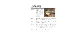 Referāts 'Zīlīte', 8.