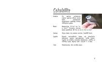 Referāts 'Zīlīte', 10.