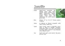 Referāts 'Zīlīte', 15.