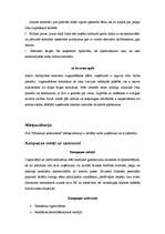 Konspekts 'Reklāmas kampaņa', 2.