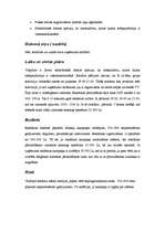 Konspekts 'Reklāmas kampaņa', 3.