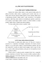 Referāts 'AS "Cēsu alus" raksturojums', 1.