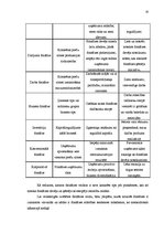 Referāts 'Franšīze un tās iespējas Latvijā', 10.