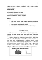 Referāts 'Franšīze un tās iespējas Latvijā', 24.