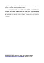 Eseja 'Izsisto (sasisto) logu teorijas nozīme noziedzības novēršanā mūsdienās', 3.