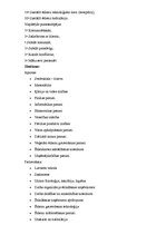 Paraugs 'Konkrētas pamatskolas skolotāju un tehnisko darbinieku apstiprināti darba apraks', 11.