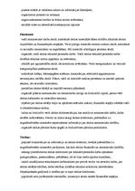 Paraugs 'Konkrētas pamatskolas skolotāju un tehnisko darbinieku apstiprināti darba apraks', 13.