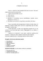 Prakses atskaite 'Biroja darba organizācija', 8.