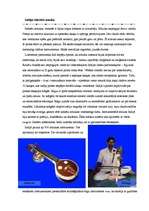 Referāts 'Indiešu mūzika ', 1.