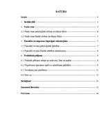 Referāts 'Naida runa sociālajos tīklos', 3.