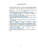 Referāts 'Naida runa sociālajos tīklos', 15.