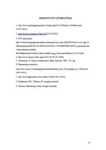 Prakses atskaite 'Prakses atskaite uzņēmumā SIA "Viktorija B"', 21.