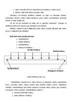 Referāts 'Izglītojamo mācību sasniegumu vērtēšana sākumskolā', 9.