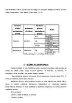 Referāts 'Izglītojamo mācību sasniegumu vērtēšana sākumskolā', 13.