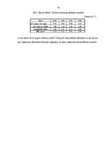 Referāts 'SIA "Skonto Būve" finansiālās situācijas izvērtēšana un attīstības programmas', 17.